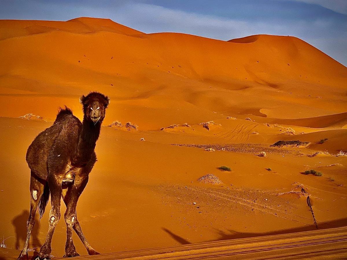Your Berber Camp Merzouga Buitenkant foto